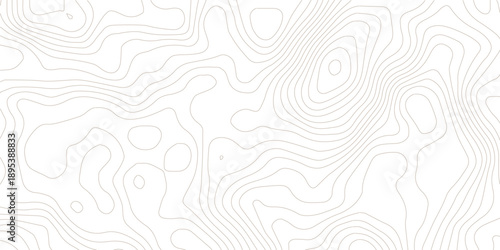 Topography background. Vector banner. Topography map background. Vector geographic contour map. Background of the topographic map. Topographic map lines, contour background.