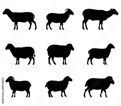 Sheep silhouettes collection standing side view vector minimal design for farm branding agricultural marketing and pastoral lifestyle visuals