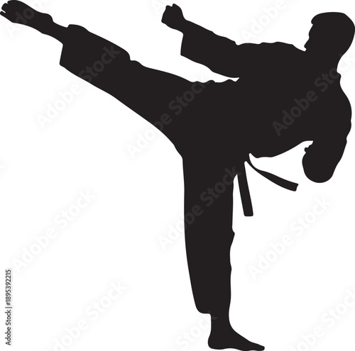 Silhouette of a martial artist performing a kick martial arts