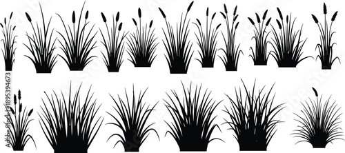 Collection of wild grass and reed silhouettes featuring detailed meadow plants, isolated vector set perfect for landscape design, nature themes, and botanical projects.