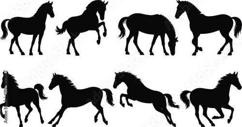 Collection of black horse silhouettes in different poses and gaits horses animal