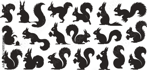 Squirrel Silhouettes In Various Poses With Acorns On White Background Keywords: squirrel, silhouette, animal, rodent, bushy tail