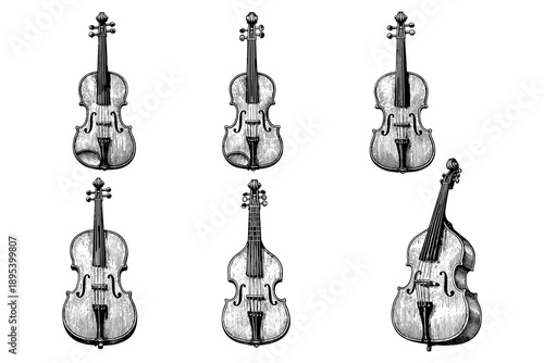 Collection of classic string instruments: violins, violas, and cellos