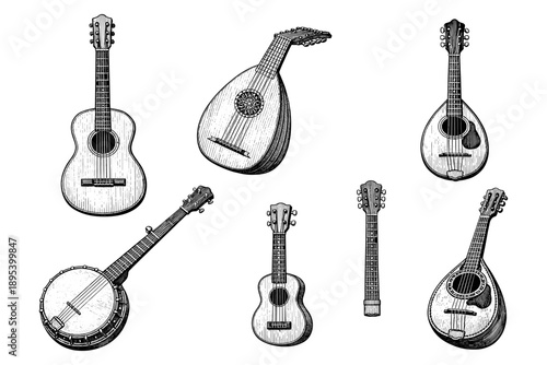 Variety of string instruments including guitar, lute, and banjo illustrations