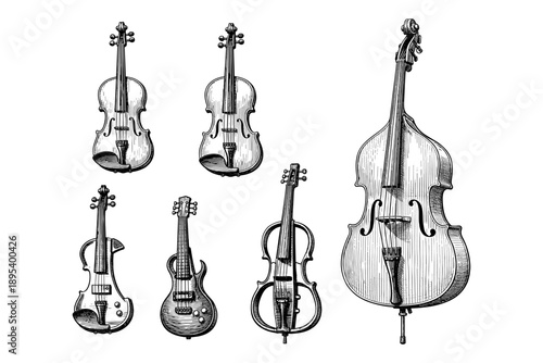 Collection of string instruments illustrated in detailed black and white sketches