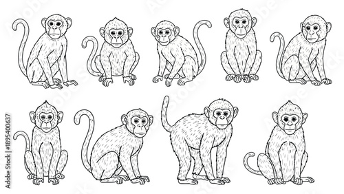 Canvas Print Illustration of ten monkeys sitting and standing, sketched in black outlines