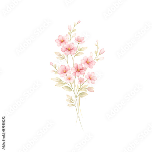 Pink Blossom Watercolor Floral Branch Isolated on Transparent Background