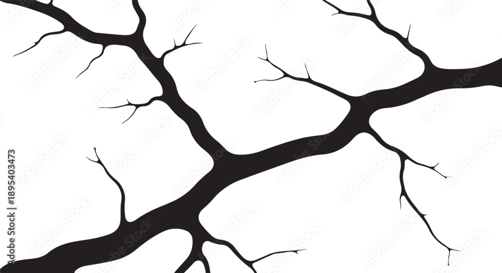 Fototapeta premium Black tree branches on white background minimalist design element