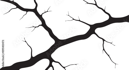 Black tree branches on white background minimalist design element