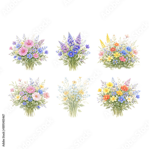 Watercolor Wildflower Bouquet Collection Isolated on Transparent Background