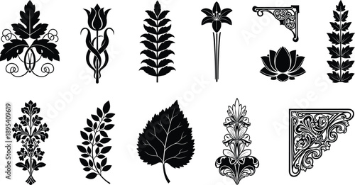 Floral ornamental elements set vintage botanical leaves lotus decorative corner black vector illustration isolated classic design collection