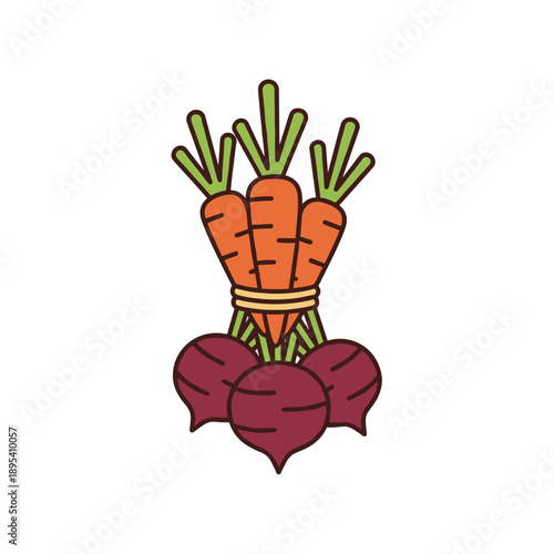 Bunch of root vegetables including carrots and beets isolated on white background concept of organic farming and harvest