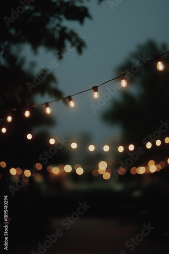 String of warm Edison bulbs glowing softly against a twilight sky