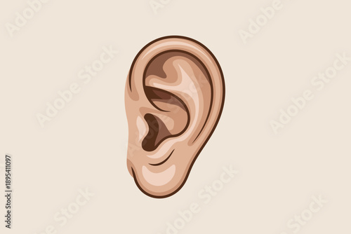Detailed view of a human ear displaying its anatomical features on a subdued light beige background