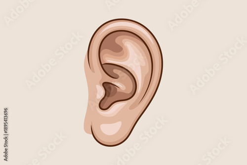 Human ear anatomy shown in a simple cartoon style illustration on a light beige background