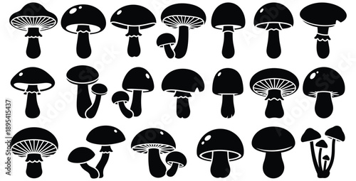 Collection of twenty distinct black silhouette icons representing various styles of edible and wild mushrooms for graphic design and nature projects