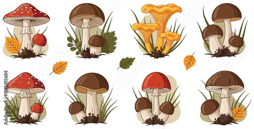 Set of various illustrated wild mushrooms featuring bright red fly agaric porcini and yellow chanterelle varieties growing together in a nature inspired design