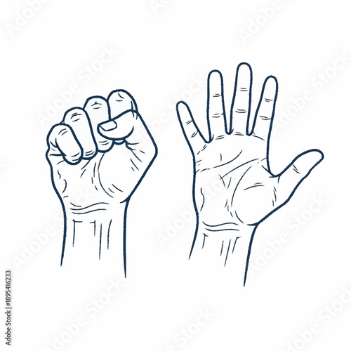 Fist and Open Hand Gestures Line Art.