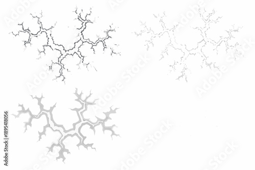 Abstract fractal patterns resembling lightning or branching veins on white
