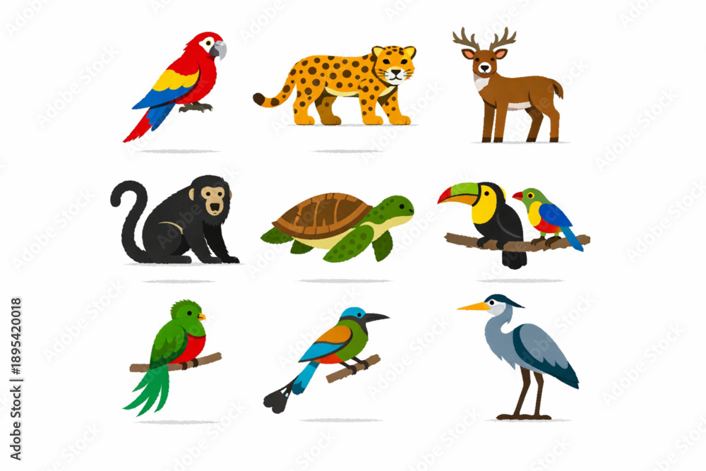 Obraz premium Honduran Rainforest Wildlife Illustration