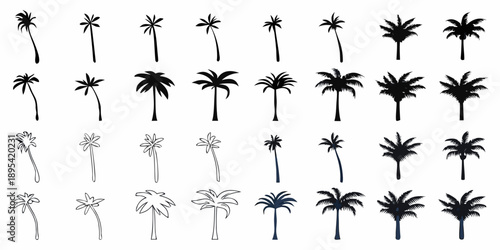 Collection of various palm tree silhouettes and line art illustrations