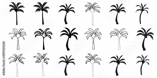 Collection of diverse palm tree silhouettes and line art illustrations