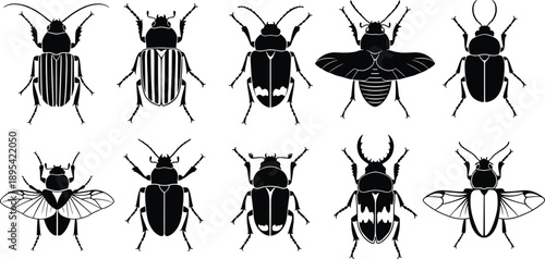 Set of black beetle silhouette vector illustrations featuring various insect species including stag beetles and scarabs isolated on white background