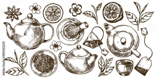 A set of tea elements. A teapot, tea, and tea bags. Vector illustration in sketch style.