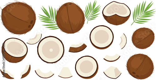 Coconut fruit collection set with whole halves slices and palm leaves for tropical summer food illustration design