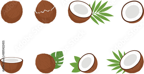 Coconut fruit collection with whole cracked halves slices and tropical leaves for summer organic food illustration design