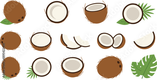 Coconut fruit set with whole halves slices and tropical leaves for summer organic food illustration design