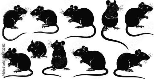 Set of black mouse silhouette vector illustrations featuring small rodents in various sitting and standing poses isolated on white background