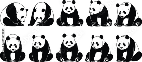 Set of giant panda bear silhouette vector illustrations featuring cute sitting pandas in various poses isolated on white background