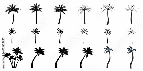 Collection of black silhouette palm trees in varying shapes and sizes