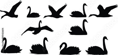 Collection of black swan and goose silhouettes in various poses including flying and swimming