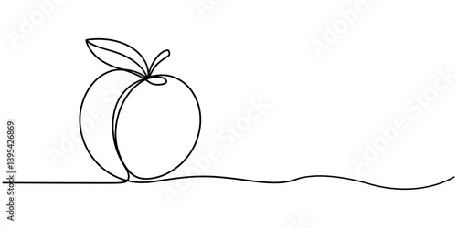 peach fruit continuous one line drawing, Peach fruit in continuous line art drawing style. Simple black sketch made of one line isolated on white background, Fresh peach continuous one line drawing.