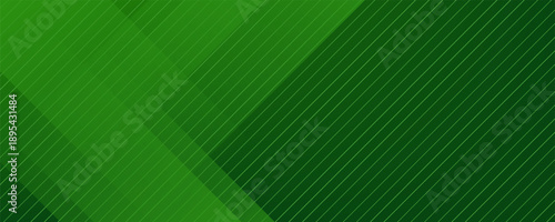 Abstract green sporty background template vector with shiny lines and lights. Green background