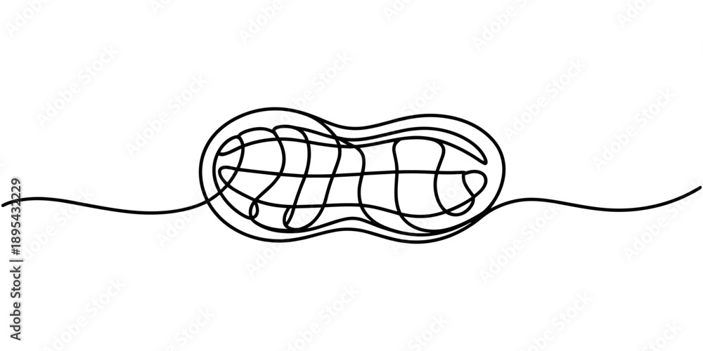 Fototapeta premium One single line drawing of whole healthy organic peanut for farm logo identity, Abstract Walnut Beans Peanuts, continuous single one line art hand drawing sketch logo. one line Icon drawing