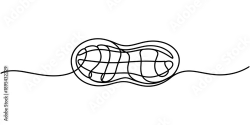 One single line drawing of whole healthy organic peanut for farm logo identity, Abstract Walnut Beans Peanuts, continuous single one line art hand drawing sketch logo. one line Icon drawing