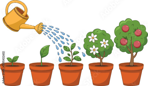 Plant Growth Stages Outline Icons Seedling to Fruit Tree in Pots