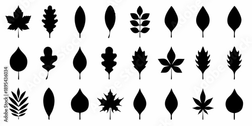 Collection of various black leaf silhouettes arranged in neat rows