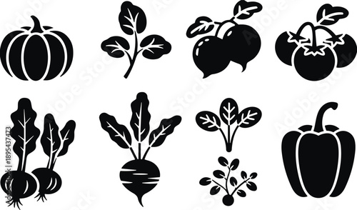 Vegetable silhouette icons, black plant shapes, pumpkin, tomato, beet, turnip, spinach, pepper, farming symbols, vector design, healthy food