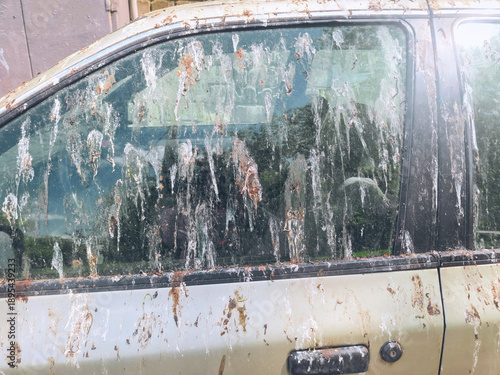 Cars side window and door cover in bird droppings