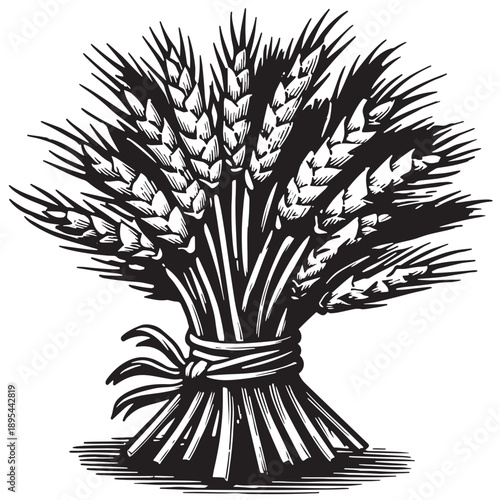 A stylized, vintage woodcut-style black and white graphic of a tied bundle of ripe wheat stalks, symbolizing harvest, abundance, and agriculture against a stark white background