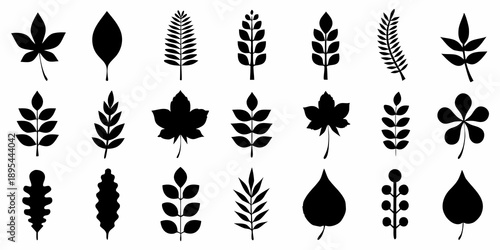 Collection of diverse black silhouettes depicting various leaf and plant forms