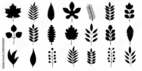 Collection of diverse black silhouettes depicting various leaf and plant shapes