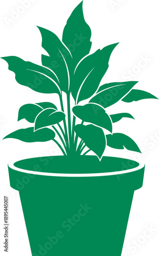 A green potted plant with large leaves on a white background