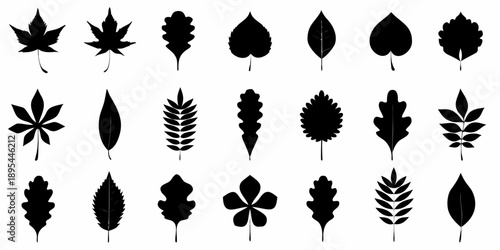 Collection of various black silhouettes depicting different types of leaves