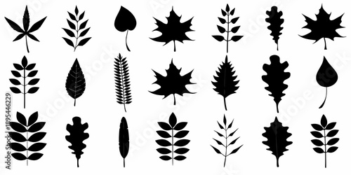 Collection of diverse black silhouettes depicting various plant leaves and stems