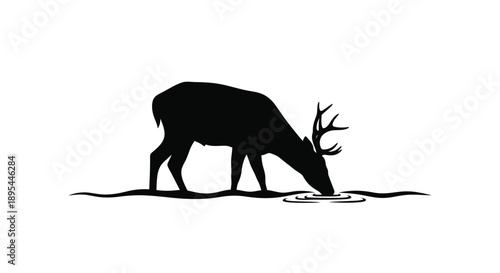 Silhouette of a majestic deer drinking water from a small pool